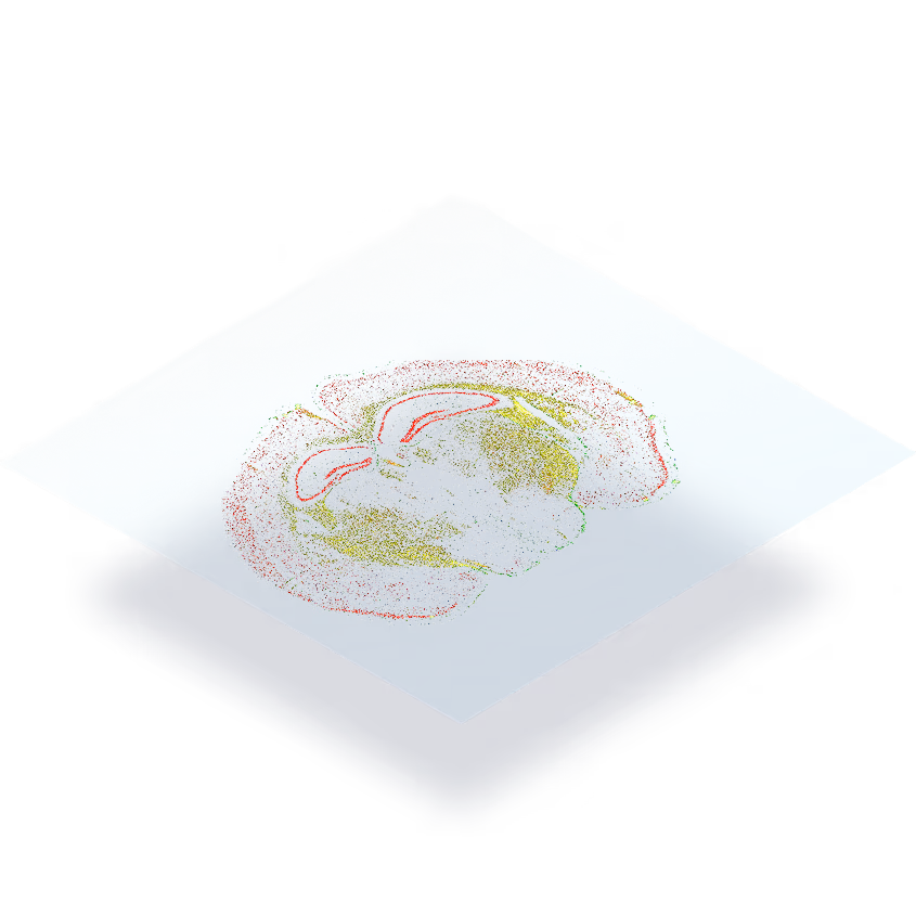 Dotted brain illustration with red and green neurological mapping outline