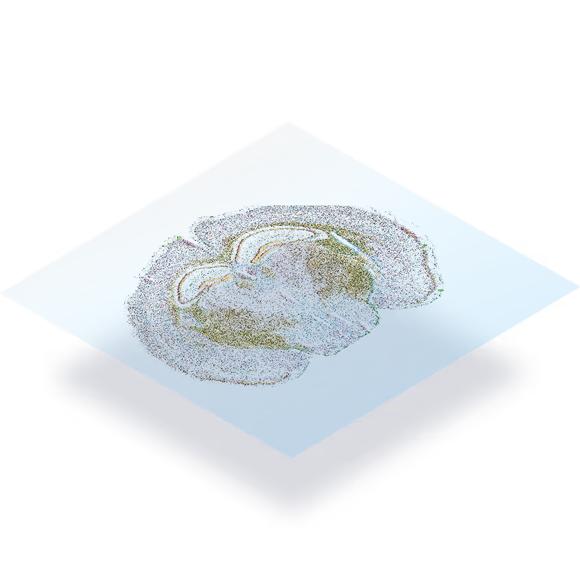Dotted visualization of human brain on light blue background