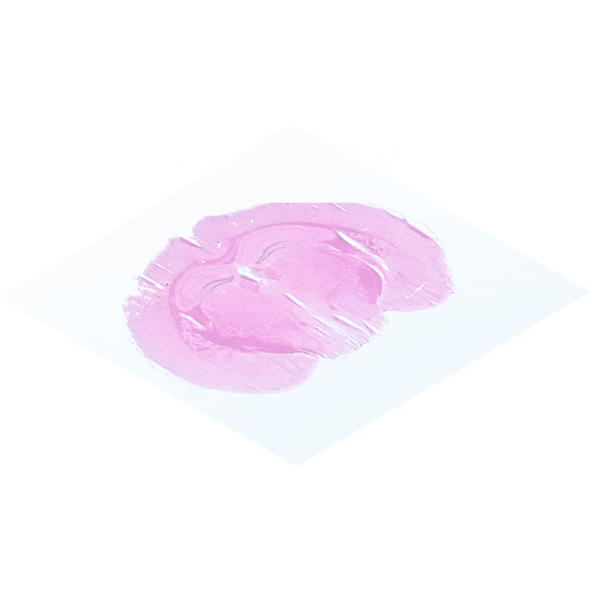 Pink translucent facial sheet mask on light blue background