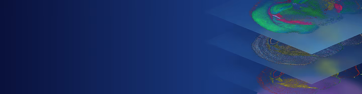 Abstract digital artwork with colorful organic shapes on dark blue background