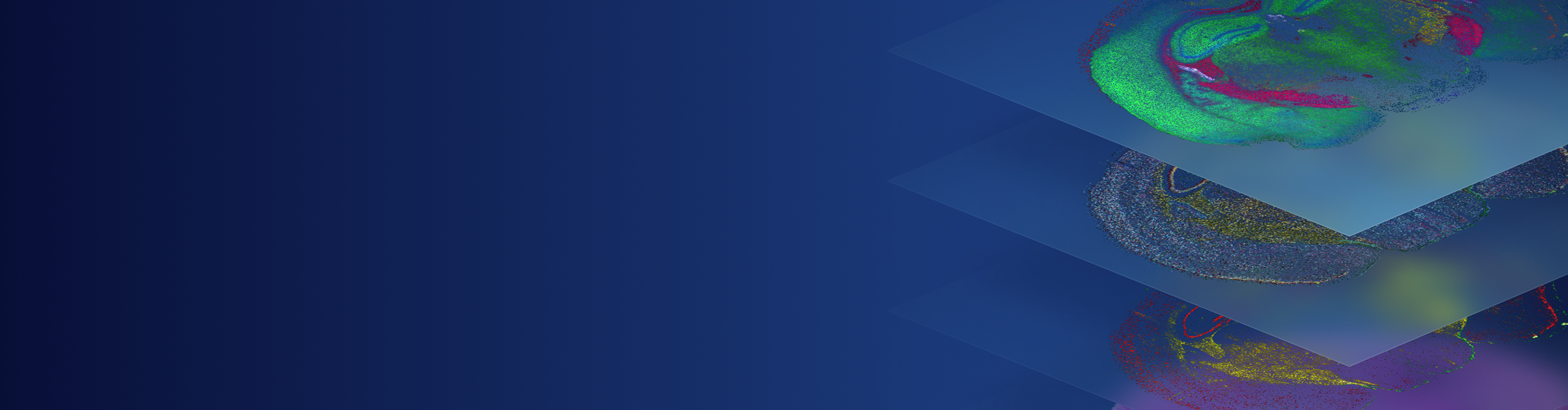 Abstract colorful digital art with layered geometric shapes and organic textures