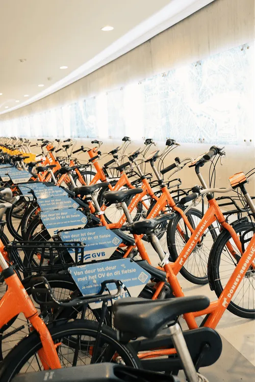 Donkey bikes parked together