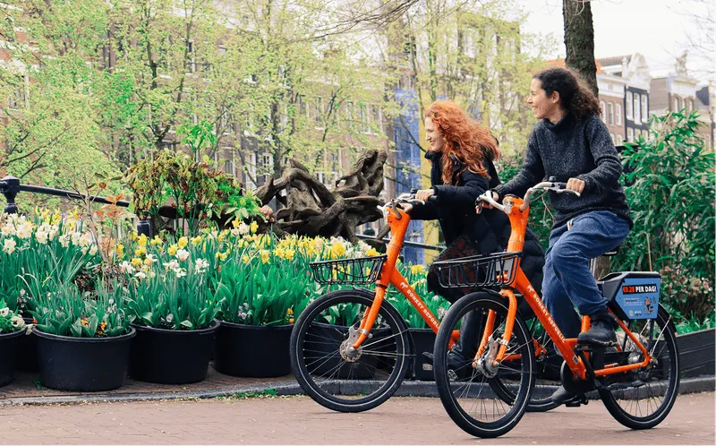 Two girls riding the donkey bike in the green 