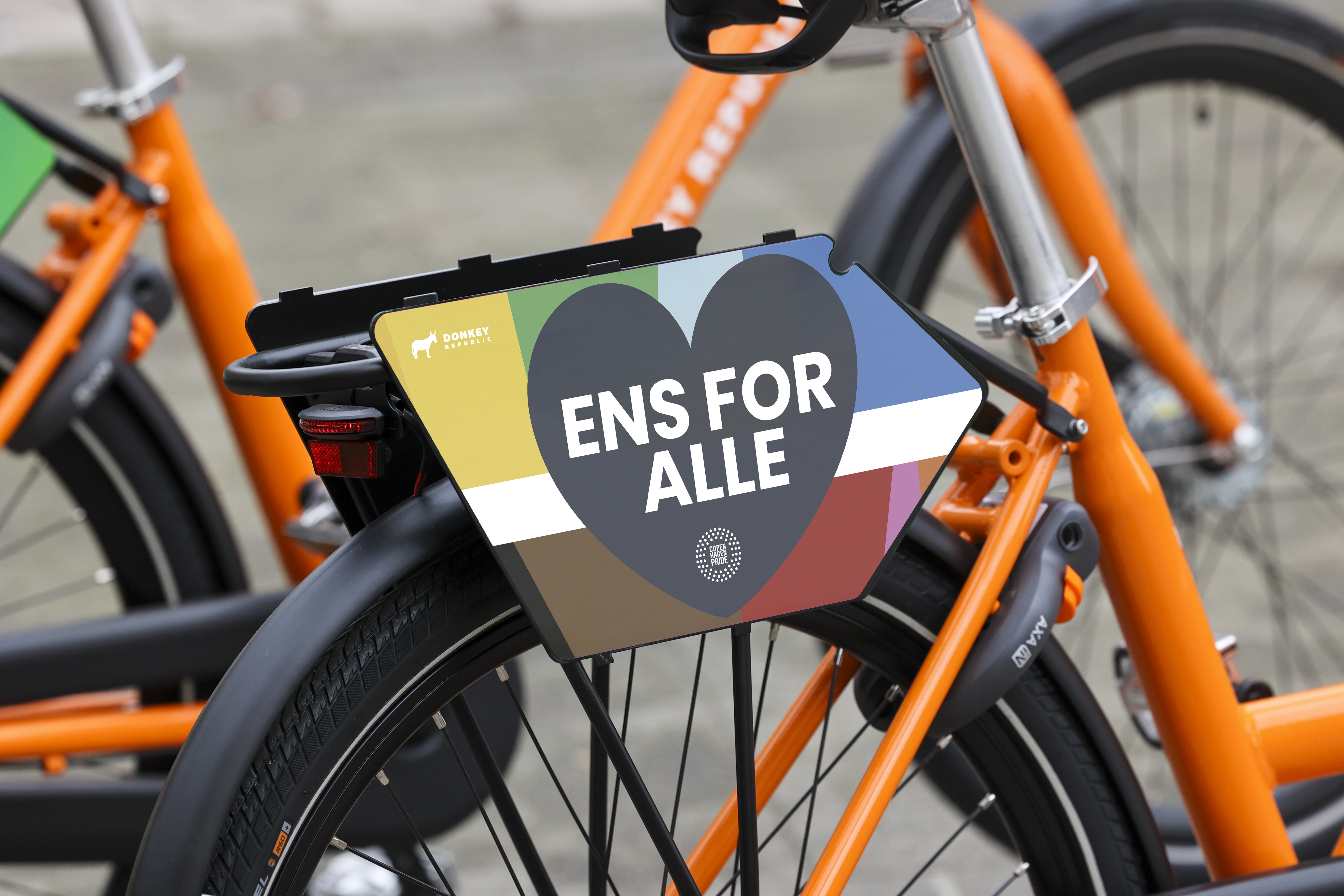 Exclusive Pride design for our Donkey bikes