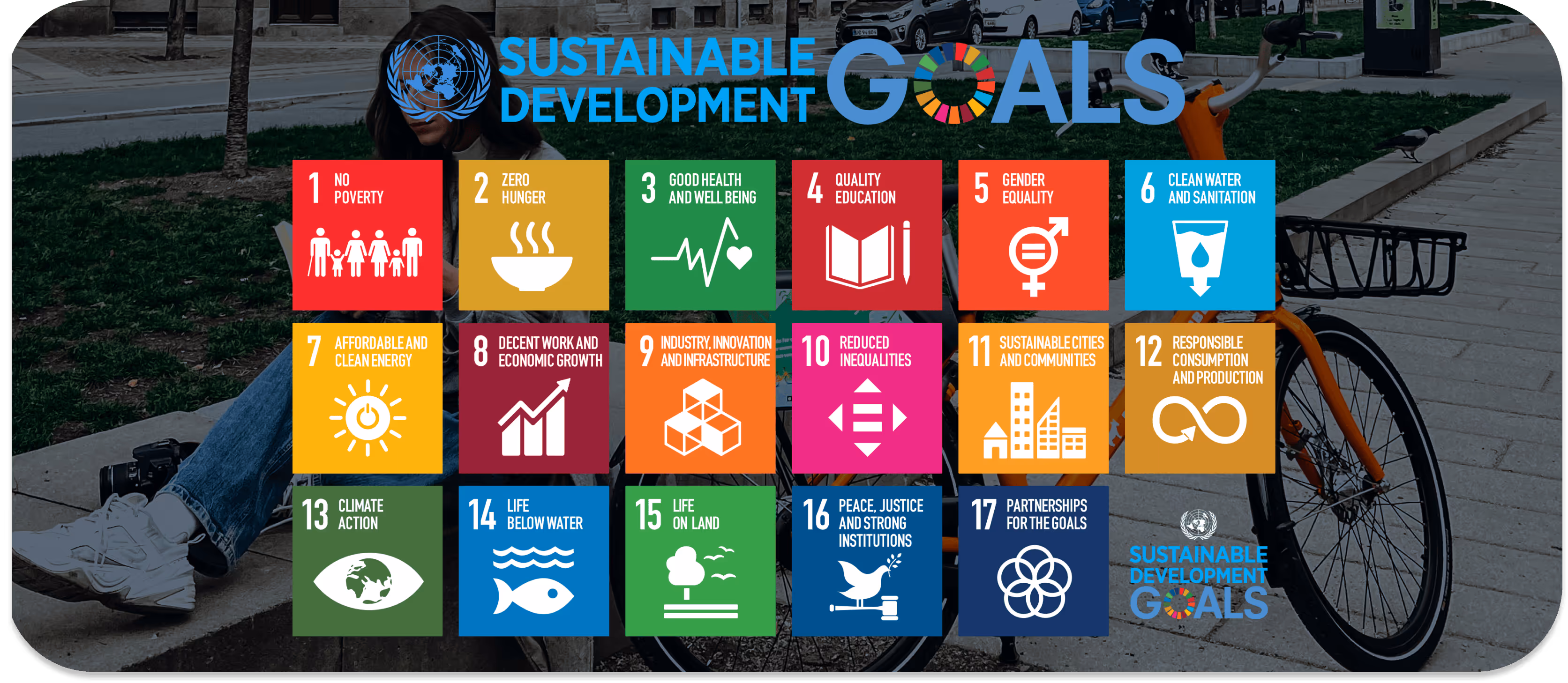UN Sustainability goals