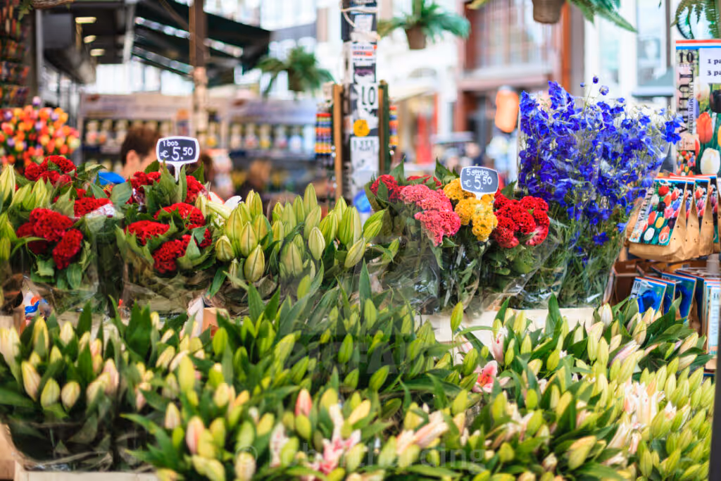 floating-Bloemenmarkt-flower-market-amsterdam