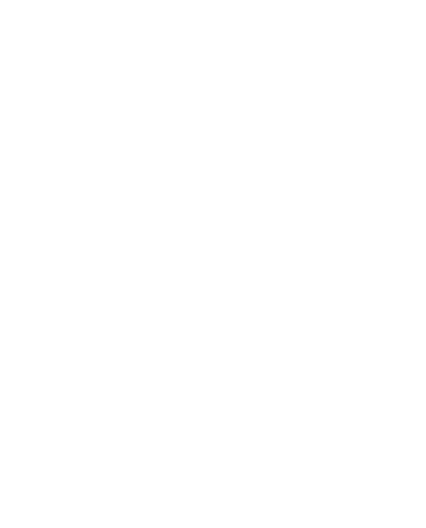 schéma de la grue sans jib