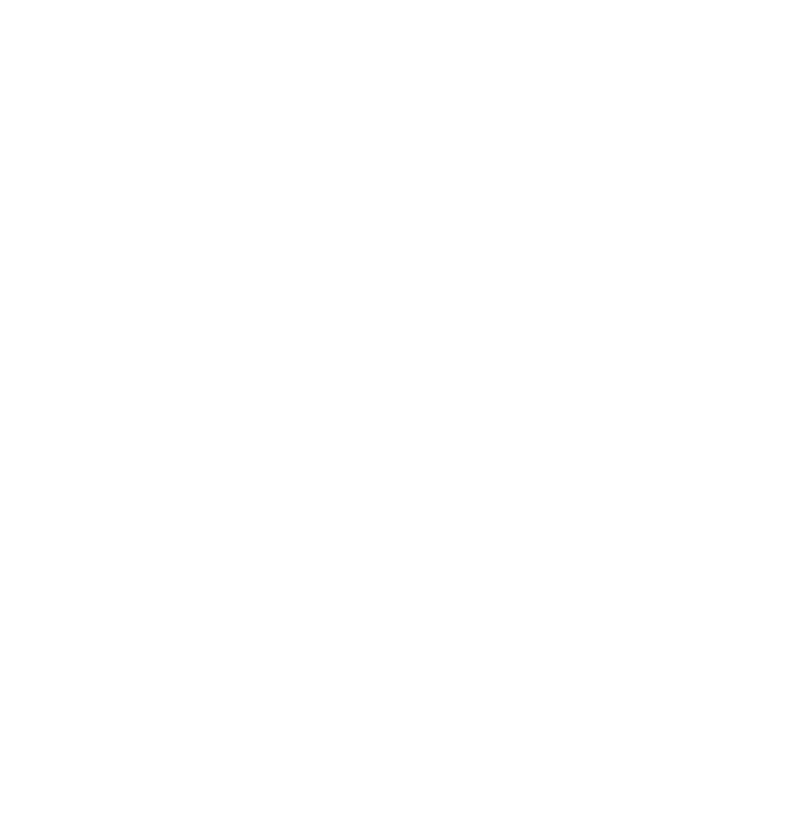 schéma de la grue avec jib