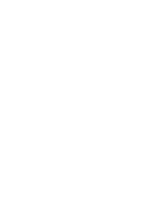 schéma de la grue sans jib