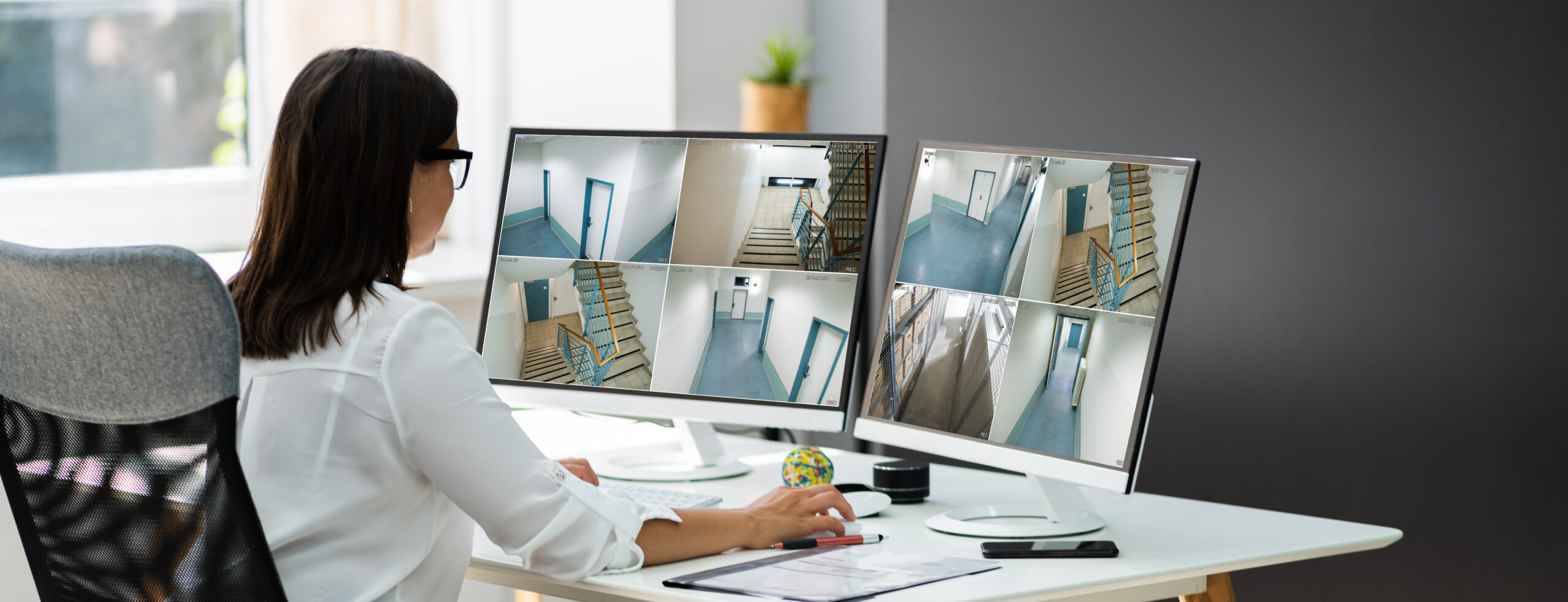 surveillance anti-intrusion