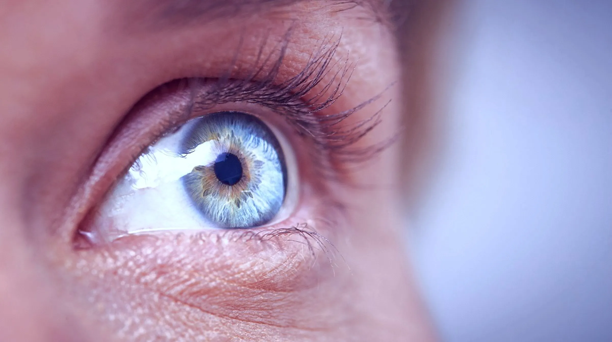 Close-up of a human eye with a blue and hazel iris and detailed eyelashes.