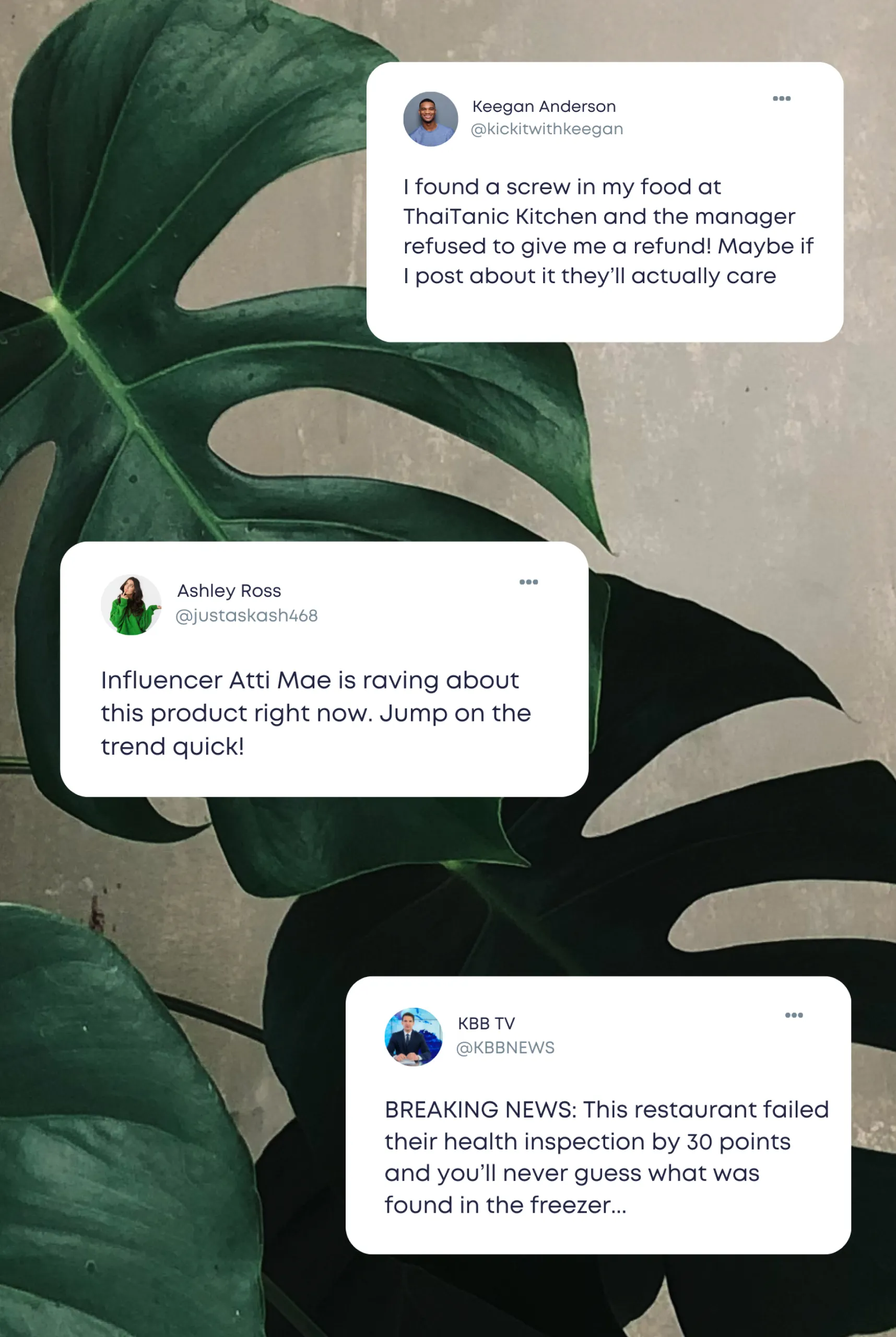 Social media posts over a leafy background showing customer feedback and news alerts