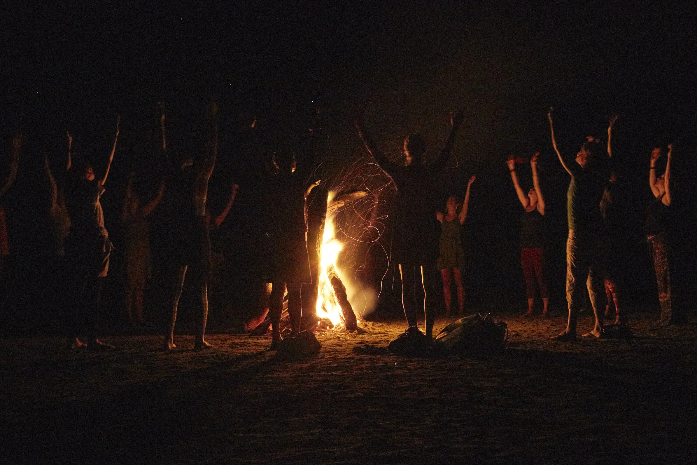 image of conservation team in action