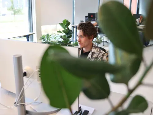 Jonge man die geconcentreerd achter een computer werkt in een kantoorruimte met groene planten.