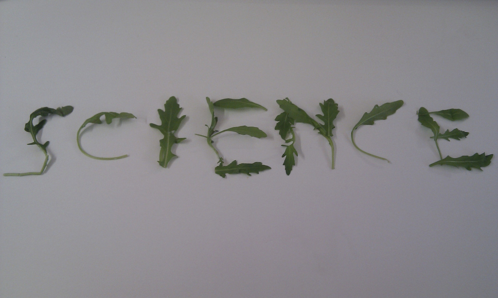 Blogs and Social Media Play Important Roles in Helping Scientists Engage the Public