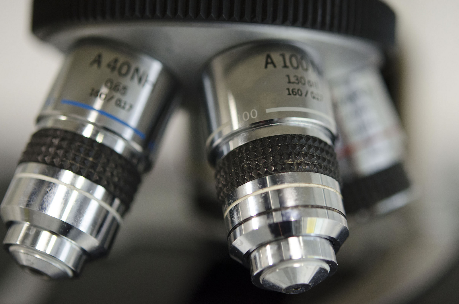 Is that Scholarly Journal Real or Fake?