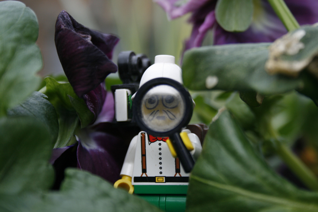 Search Engines are the Most Trusted Media Sources