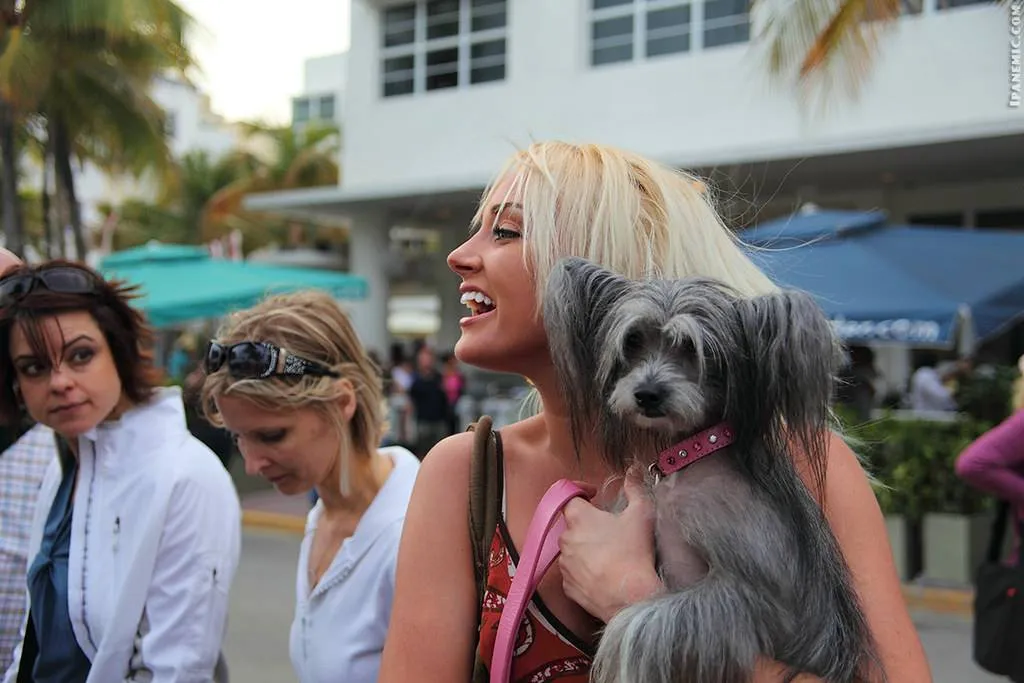 Smiling blonde woman holding a small gray dog with long ears among a crowd outdoors.