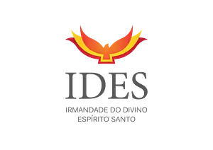 Logotipo da IDES com um desenho abstrato em forma de chama laranja e amarela acima do texto.