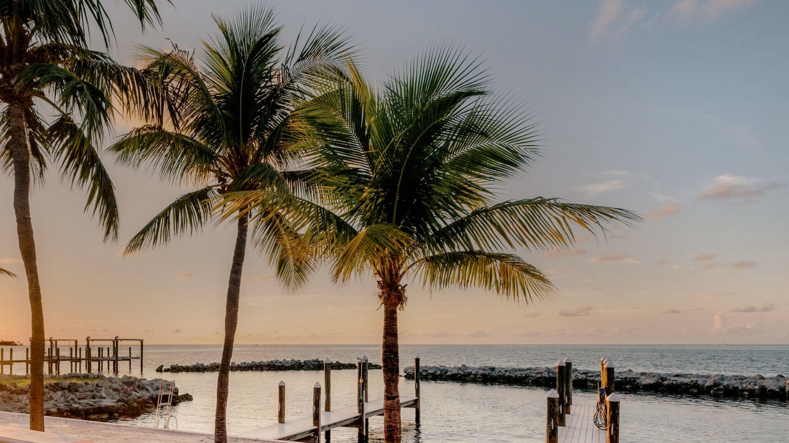 Palm trees near wooden piers extending into calm ocean water at sunset.