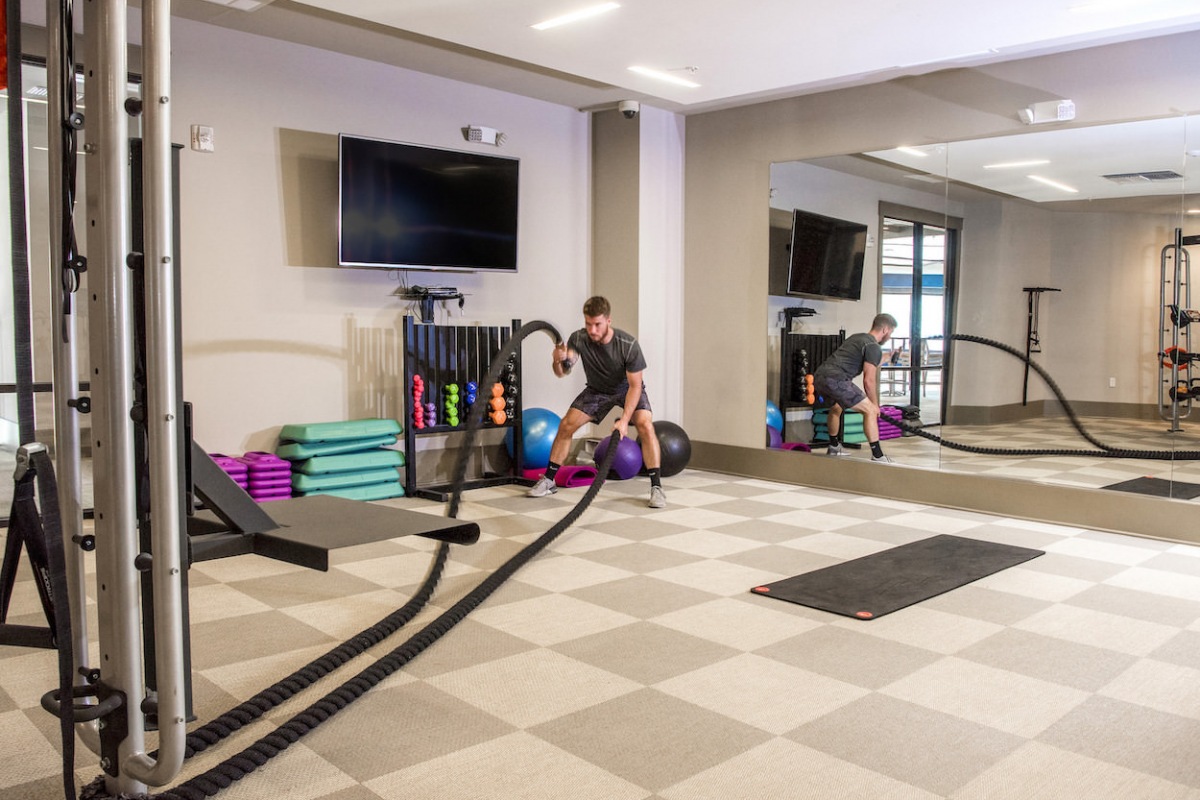 TRX training equipment