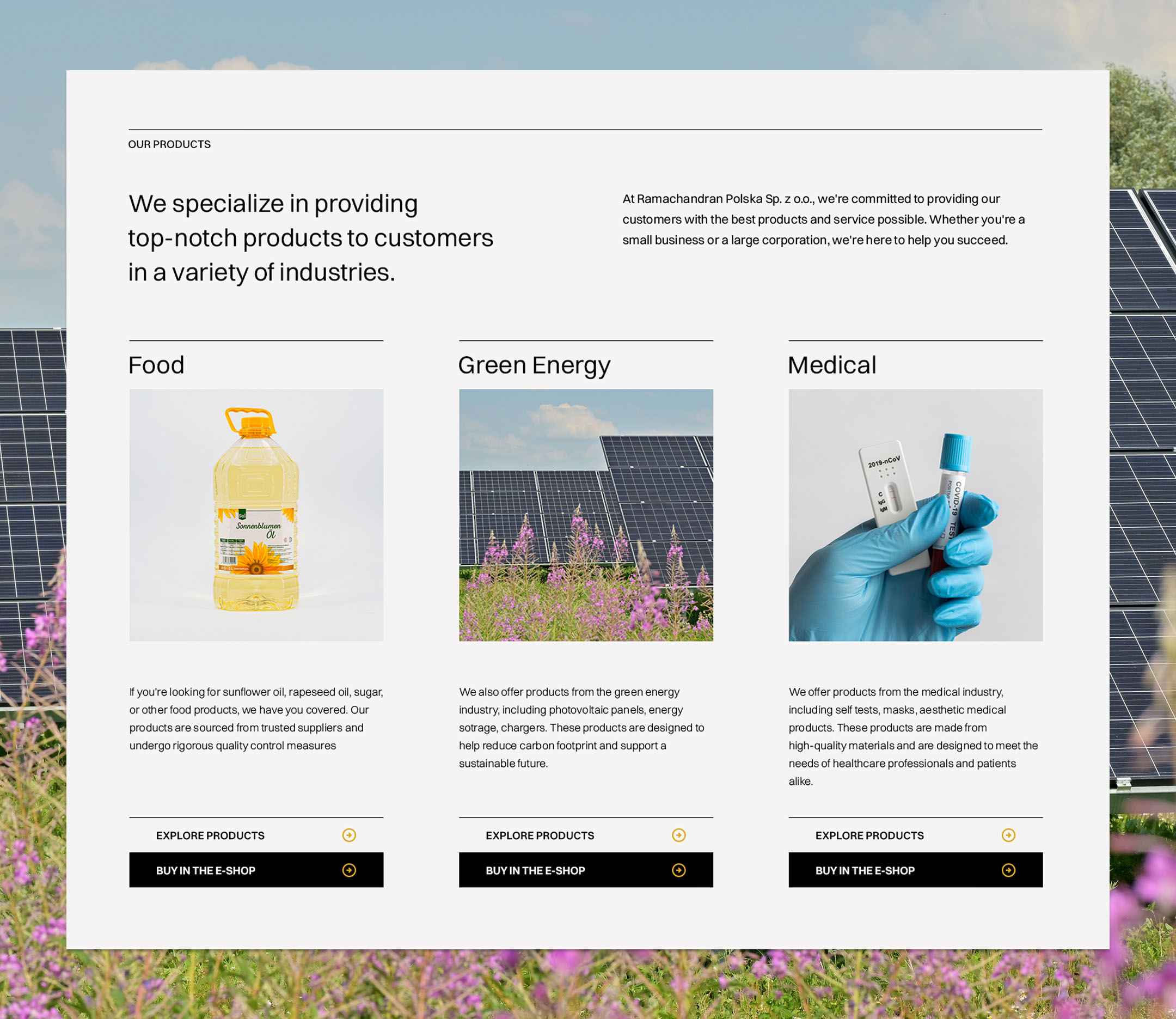 Zbliżenie na kategorię produktów w sklepie internetowym