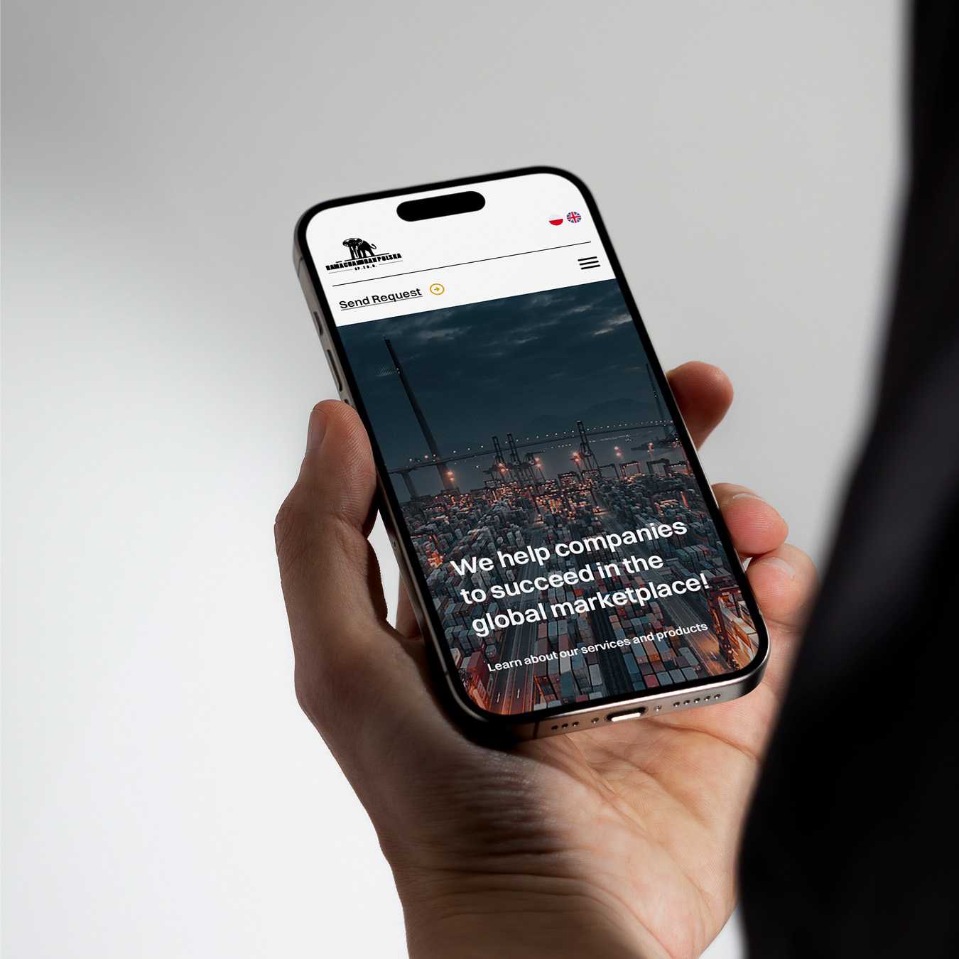 Ramachandran - projekt graficzny strony internetowej i sklepu internetowego dla importera i eksportera produktów spożywczych i medycznych