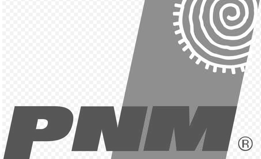 Logo with bold letters PNM beside a tilted gray rectangle containing a white spiral design.