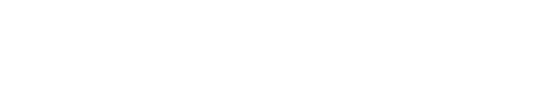 loop future logo white