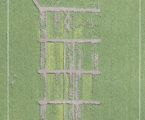 Substantial improvements have been made to Live Map quality and reliability, particularly on the Mavic 2 series.