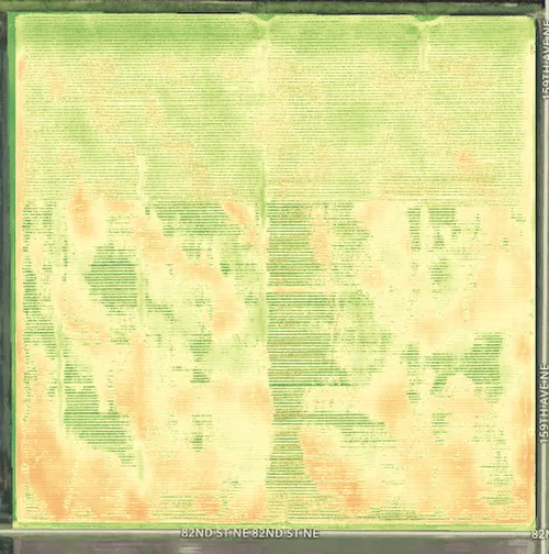 NDVI map calculated with the standard formula