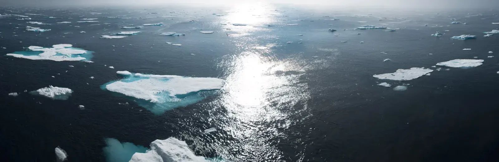 Feel Good Friday: How Scientists Are Using Drone Technology to Monitor IceCaps