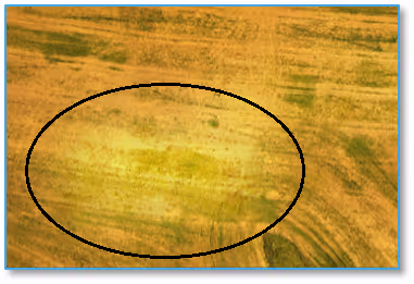 Bright spot in center of wheat field indicates a section that was mapped when the sun came out during an otherwise cloudy day