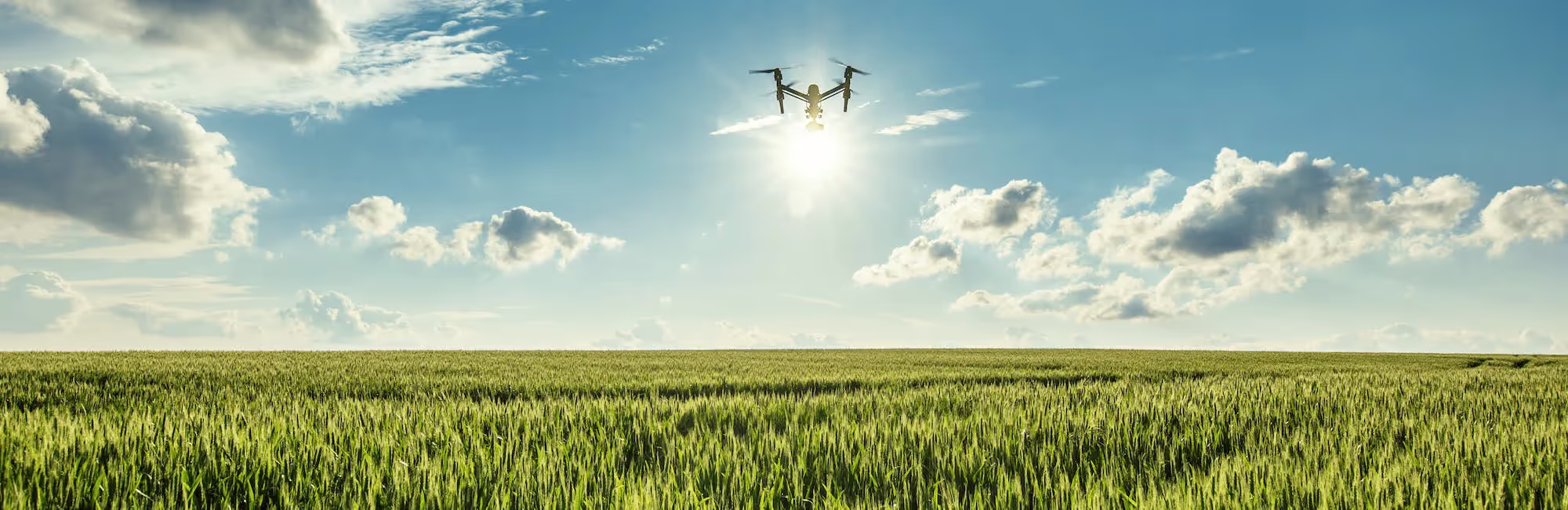 5 Ways Drone Technology Will Help Create a More Sustainable Future