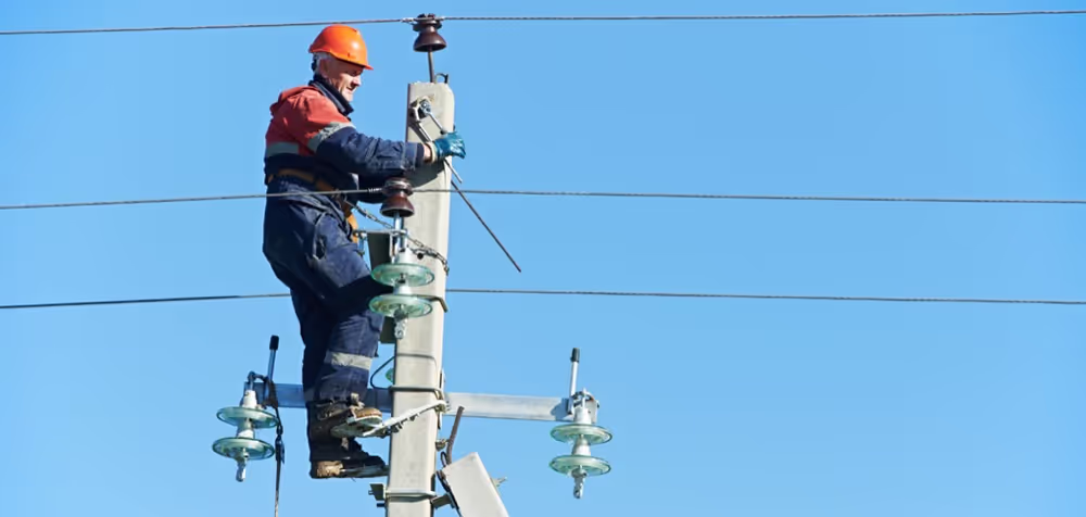 A lineman inspects a power line.