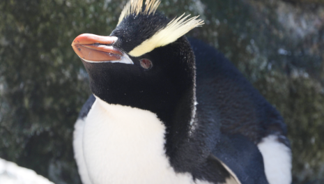 DroneDeploy’s Third Annual Impact Report