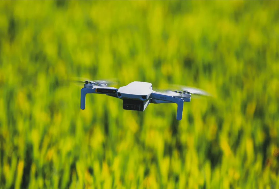 Crop insights from the sky: DroneDeploy in the field
