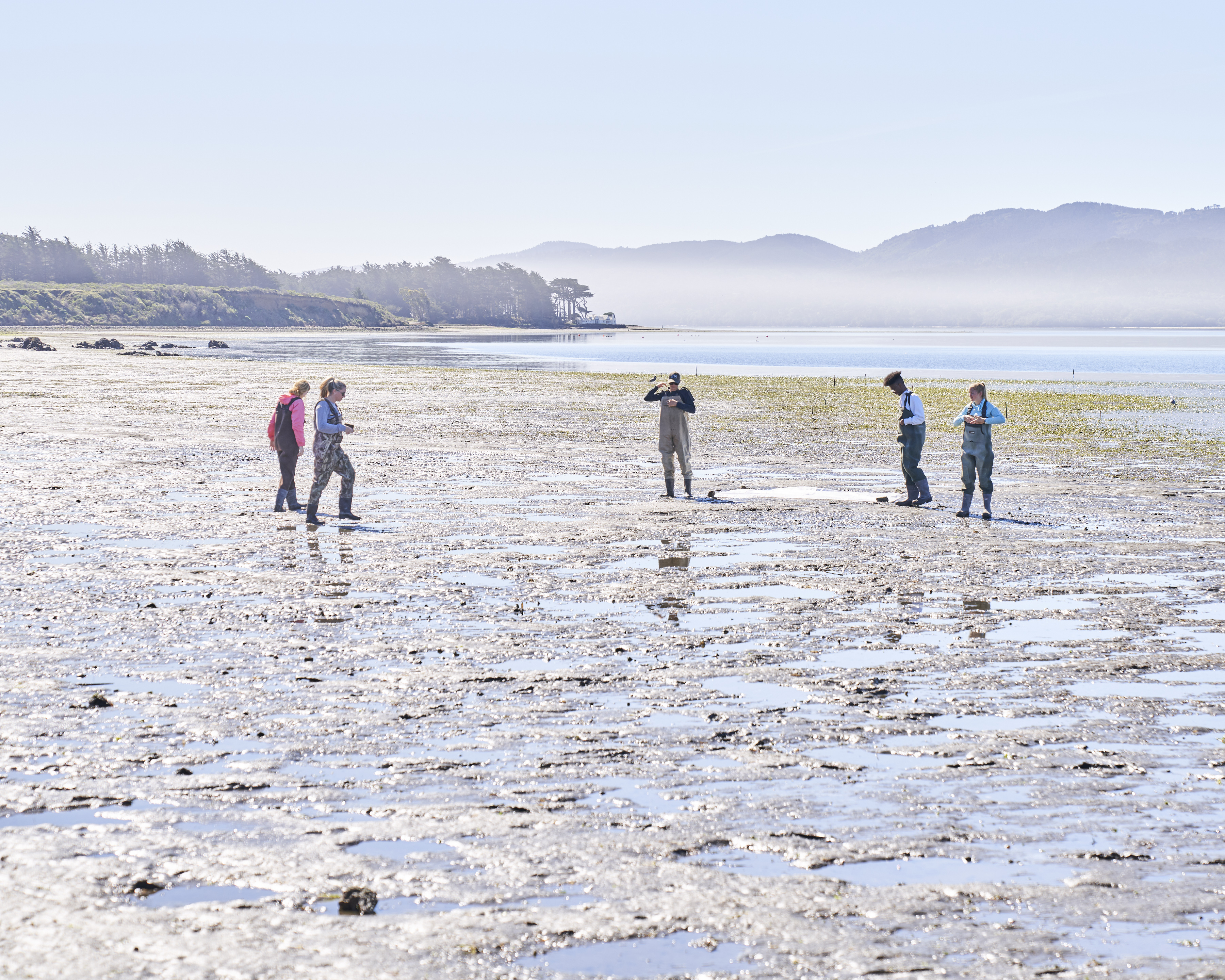 image of students walking the lagoon and preparing for drone mapping