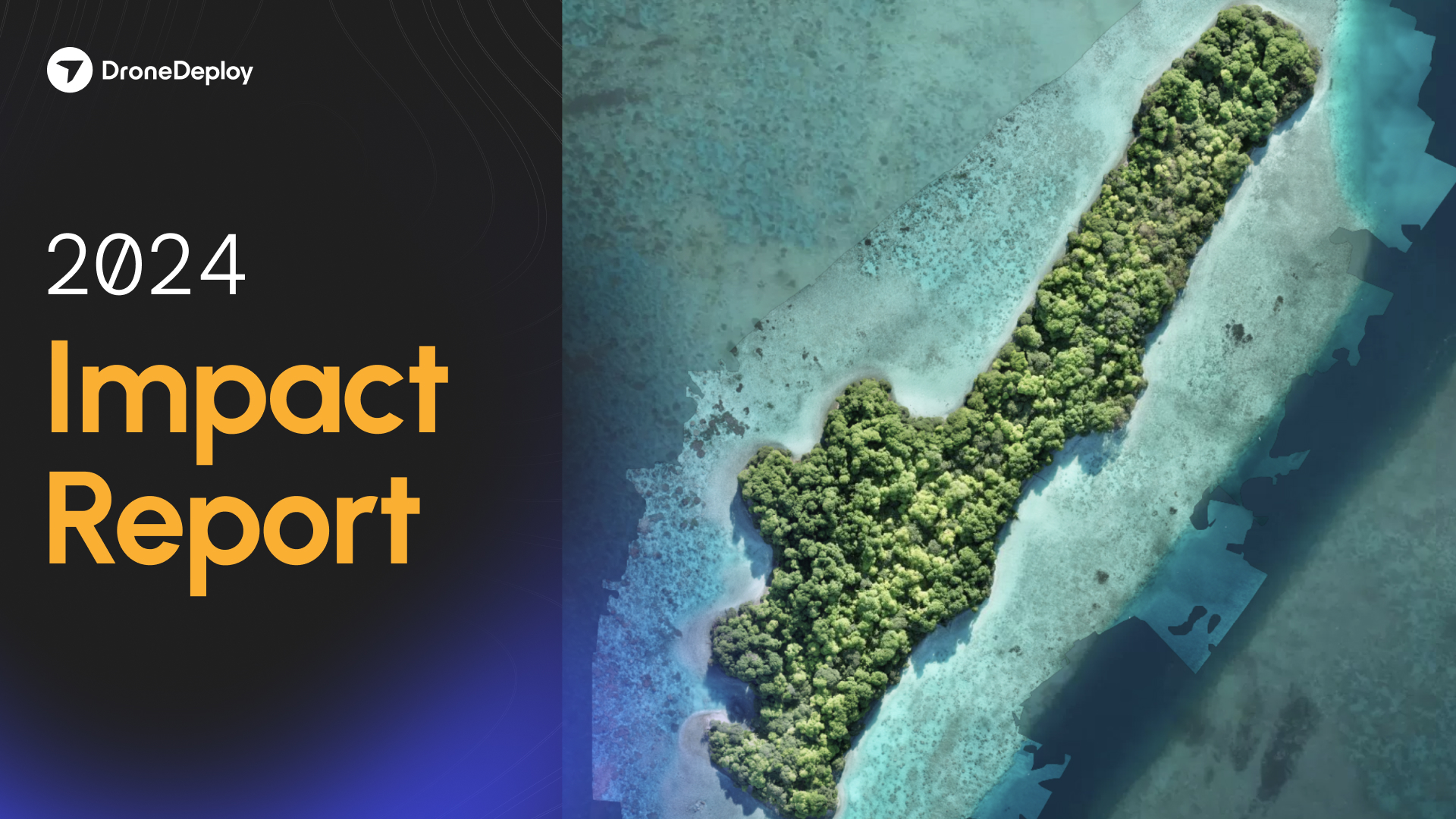 2024 Social Impact Report