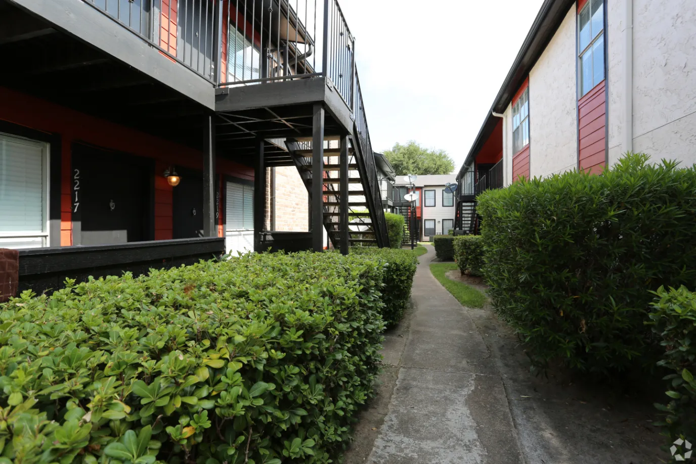 exterior with walking path with bushes