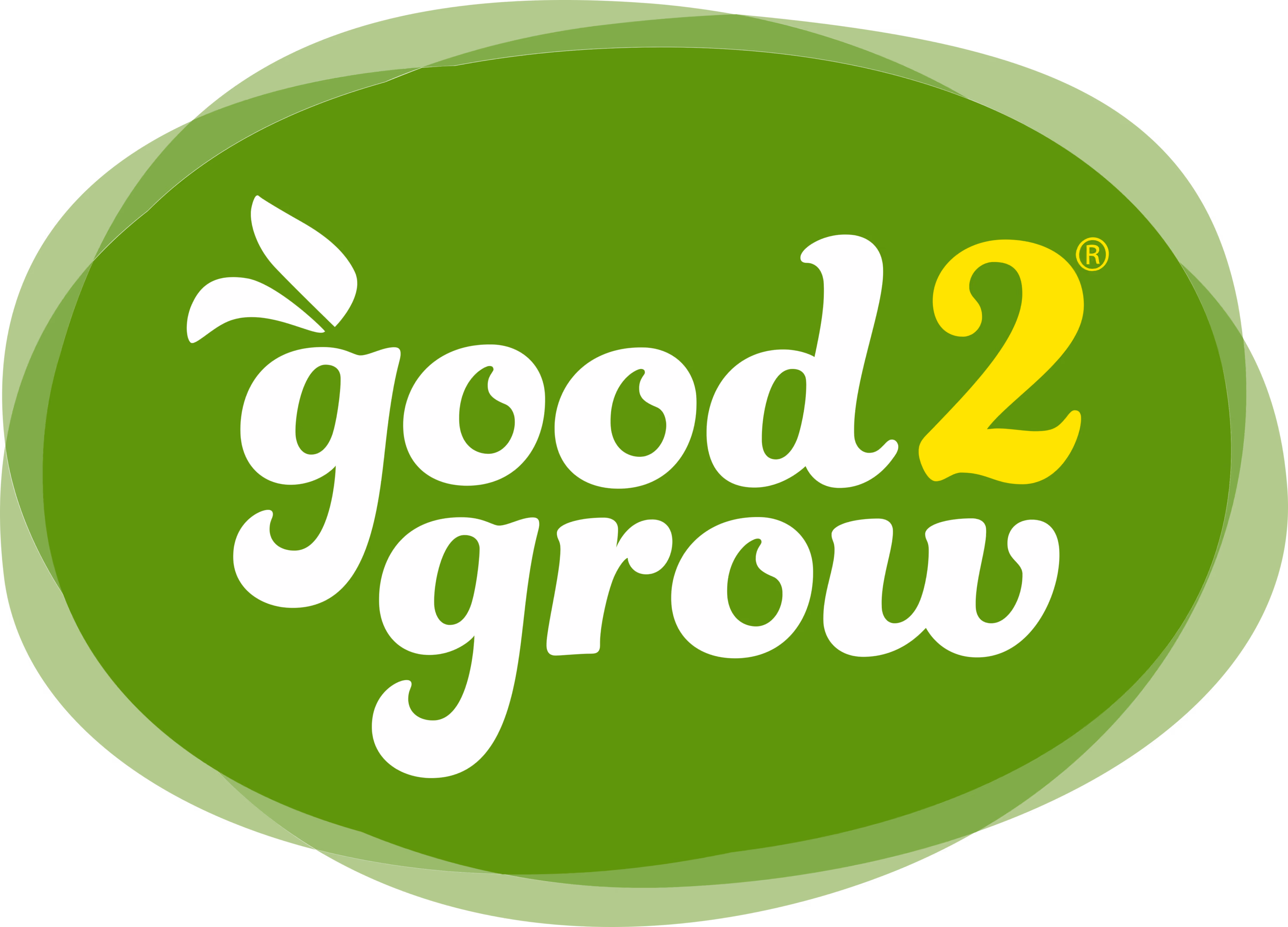 Good2Grow logo with stylized white lettering and a yellow number 2 on a green oval background.