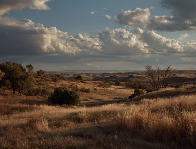 Expansive landscape with rolling grassy hills, scattered trees, and a cloudy sky at sunset.