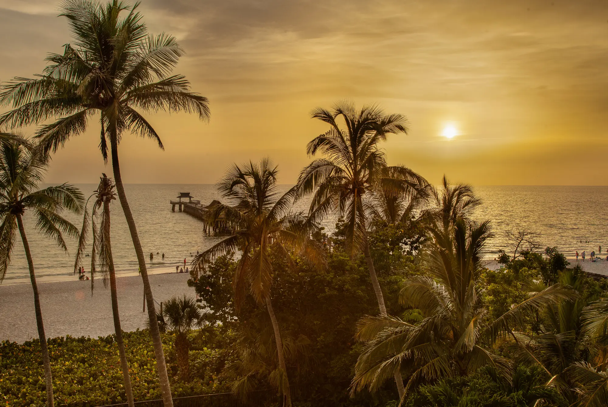 Sunset over Naples beach with palm trees, pier, and people walking along the shore.