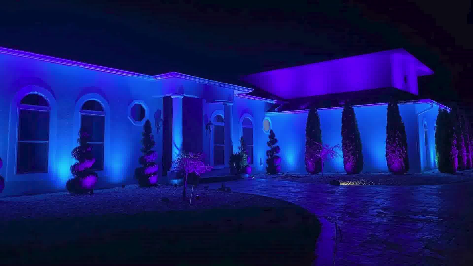 House exterior at night illuminated with blue and purple uplighting on walls and landscaping.