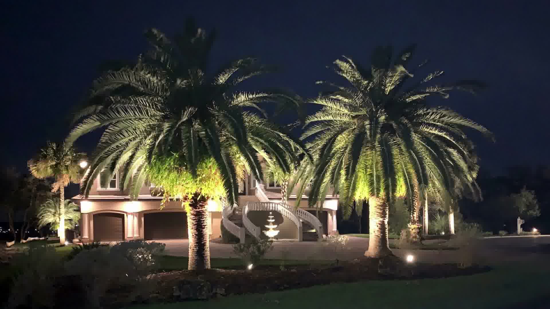 Night view of a lit mansion with two large palm trees and a central fountain in the driveway.