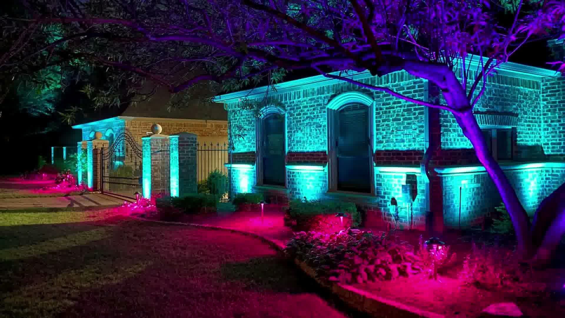 House exterior at night lit with blue and pink garden lights highlighting walls, plants, and a tree.