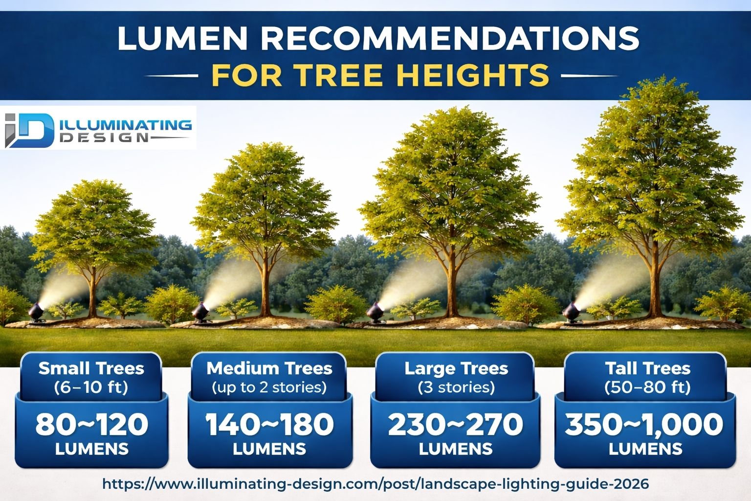 Infographic showing lumen recommendations for different tree heights - landscape lighting infographic 