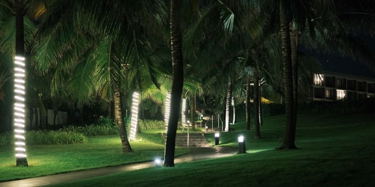Professional landscape lighting installation process - landscape lighting