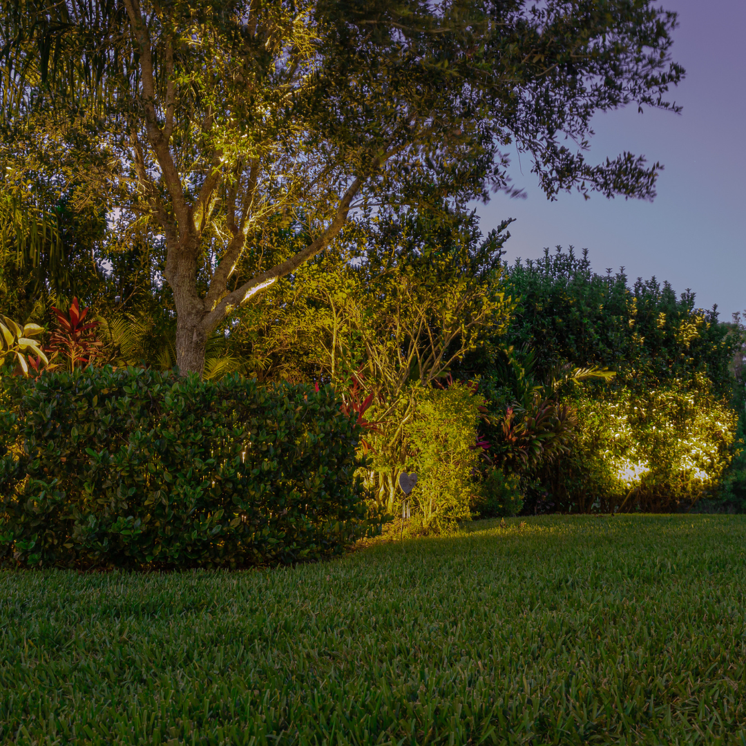Landscape uplighting