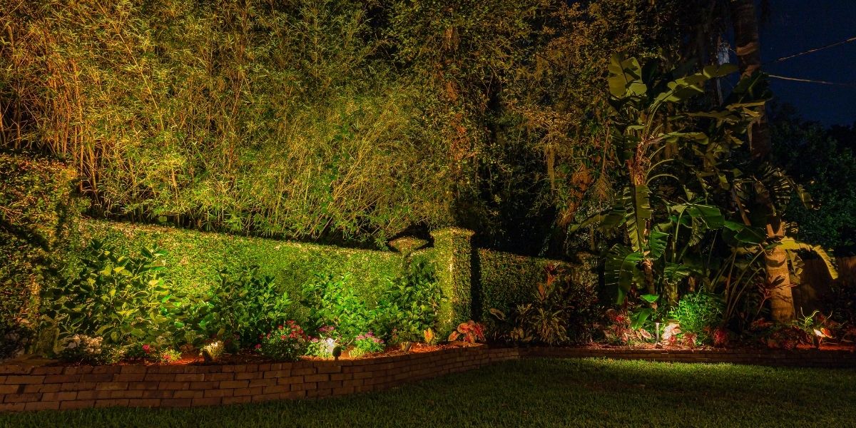 Beautiful landscape with uplighting design, highlighting a lush garden, plants, and bamboo hedge, showcasing the effect of outdoor lighting in enhancing landscaping features at night.